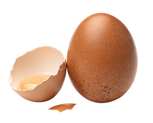 brown egg isolated on white background, PNG