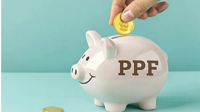 Public provident fund concept