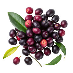 Pile of jamun top view isolated on white background