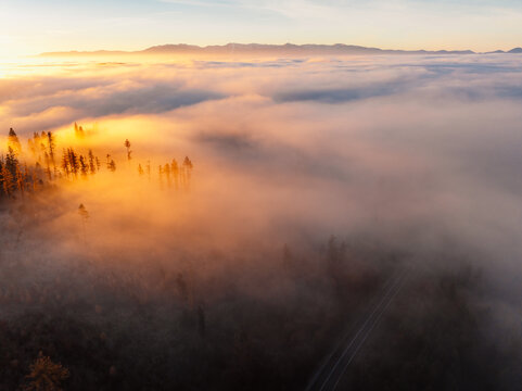 Fototapeta Sunset over Liptov region with and High Tatras mountains around. Misty view of tree tops with the rays of morning light.