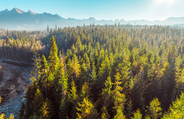 Panorama High Tatras Mountains with Jaworowego river meadow from Jurgov