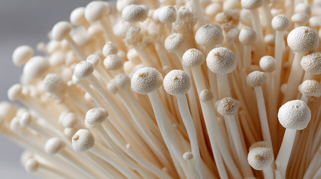 Golden Enoki Mushrooms: Close-up view of a cluster of fresh, golden enoki mushrooms.