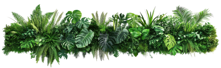 Lush green tropical plants create vibrant, natural border