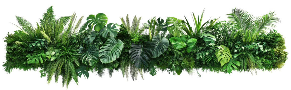 Lush green tropical plants create vibrant, natural border
