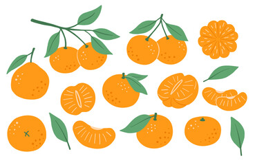 Tangerine with leaf, flat illustrations set, abstract fruit art isolated on white background