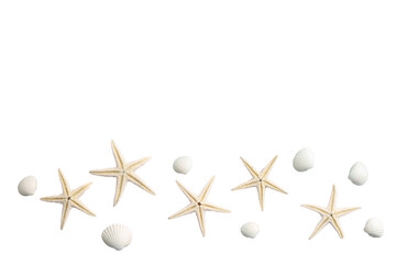 Starfish and seashells on white, ideal for summer vibes, isolated on white, PNG