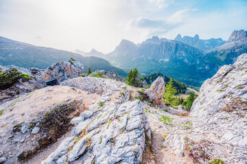 Majestic landscape of Alpine Cinque Torri in background Passo Falzarego, Tofana. Hiking nature scenery in Dolomite, Italy near Cortina d'Ampezzo