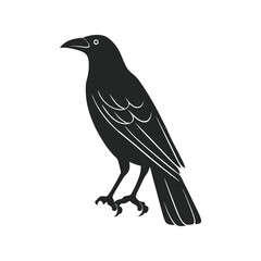 Crow silhouette black vector illustration, detailed profile of the bird, ideal for wildlife, nature, bird design