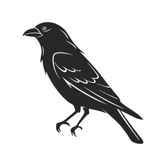 Crow silhouette black vector illustration, detailed profile of the bird, ideal for wildlife, nature, bird design