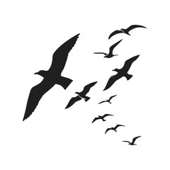 Flying birds silhouette black vector illustration, multiple birds in flight, perfect for nature, wildlife