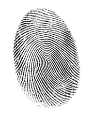 human ink fingerprint isolated on white  background, PNG