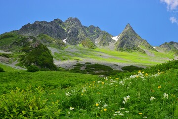 北アルプス 涸沢の夏景色