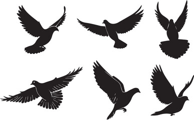 Obraz premium Silhouette Doves in Flight
