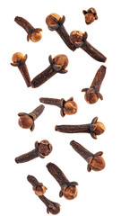 Aromatic Cloves Scattered on Transparent Background