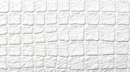 crocodile alligator skin white texture closeup shot gator croc skin macro texture pattern background