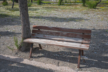 Old wooden bench in the park