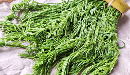 Acacia (Cha om) on brown background.