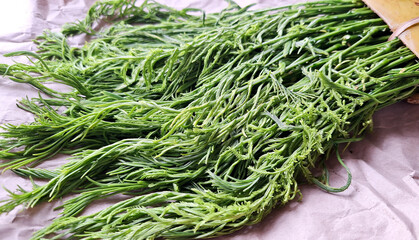 Acacia (Cha om) on brown background.