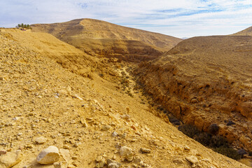 Mamshit Stream and the ancient city, Negev Desert