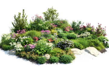 Garden landscape design elements, various types of plants and flowers in the garden, rockery, grass, bushes, with transparent background 