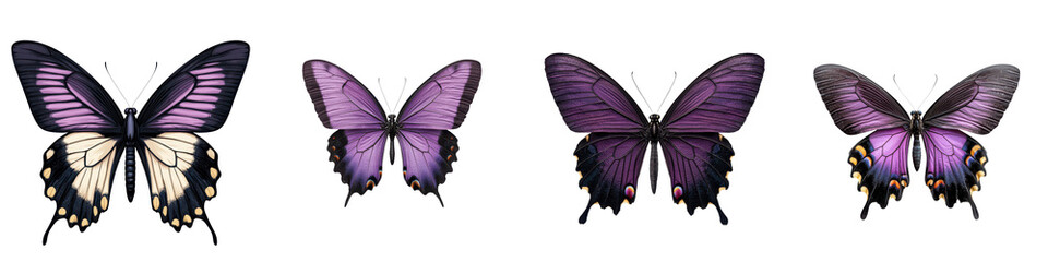 Obraz premium Vibrant Butterflies in Flight