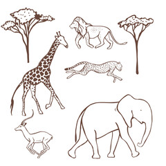 Hand-drawn african animals  on white  background. Vector sketch illustration.