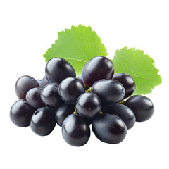 Fototapeta premium Fresh dark grapes with vibrant green leaves arranged on a clean transparent background for a natural and appealing display, dark grape fruits with leaves isolated on transparent background