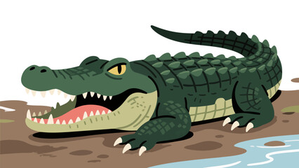 Animal pattern, animal vector pattern