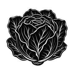 a bunch cabbage vector art silhouette