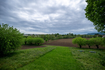 Villa La Rotonda, Villa palladiana, Vicenza, Veneto, Italia.
