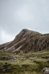Fototapeta premium the summit rocky mountain. green grass on the front.