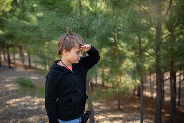 Fototapeta premium boy with binoculars surrounded by pines tress and golden light