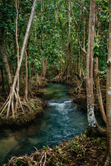 Fototapeta premium Two Water Canal in Krabi, Thailand: Tha Pom Khlong Song Nam