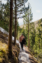 Fototapeta premium Person hiking on snowy forest mountain trail