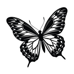 a butterfly motion captured mid vector art silhouette 