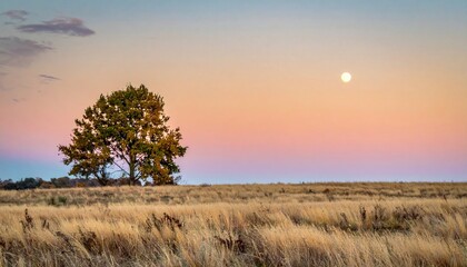Fototapeta premium Golden sunset over the serene prairie landscape tranquil nature scene rural environment evening viewpoint