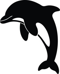 vector illustration of a dolphin