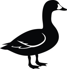 duck silhouette isolated on white