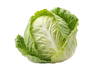 Fototapeta premium fresh cabbage head isolated on white or transparent png