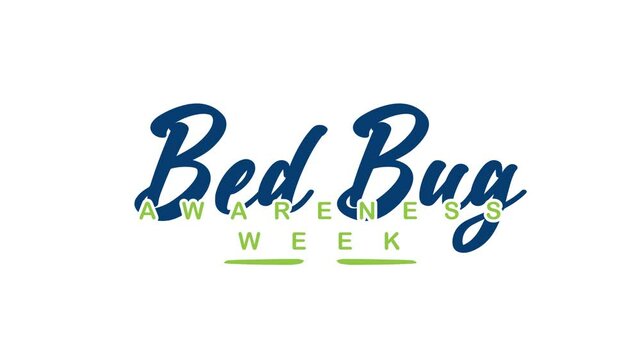 Bed bug awareness week text animation suitable for educational materials, presentations, websites, and campaigns promoting awareness of bed bug prevention.