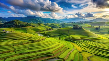 Fototapeta premium Rolling hills with vibrant green rice terraces stretching as far as the eye can see, set against a bright blue sky with fluffy white clouds , aerial view, landscape