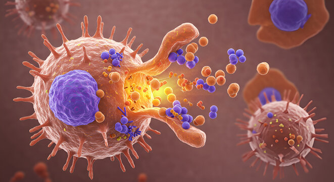 Mast Cell Releasing Inflammatory Mediators &ndash; Allergy and Inflammation Illustration