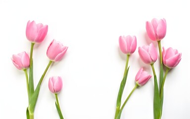 Fototapeta premium Stunning Flowers composition. Pink flowers on white background. Flat lay, top view. High quality
