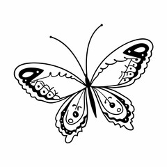 butterfly on white background