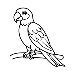 parrot line art vector silhouette