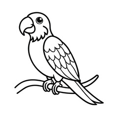 parrot line art vector silhouette
