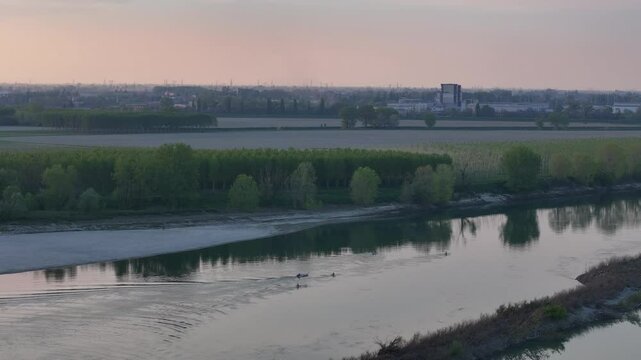 Rowers glide in unison across the calm Po River near Maginot Budrio wetlands leaving ripples by sandy bars flanked by tree-lined banks and distant fields under warm sunset light