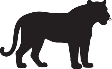 Fototapeta premium black panther vector