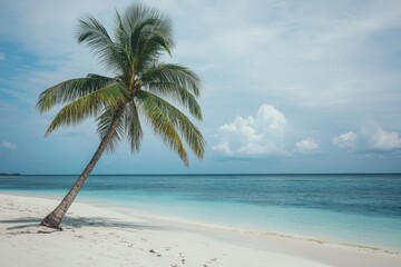 Obraz premium Tropical coastline with a leaning palm tree and serene blue waters under a cloudy sky, Exotic background of sea coast on tropical island with lonely green palm tree