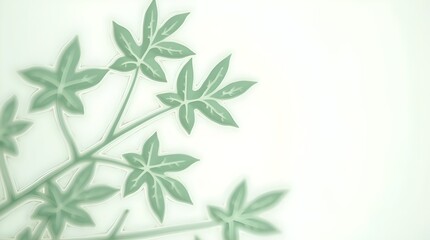 Fototapeta premium green leaves background